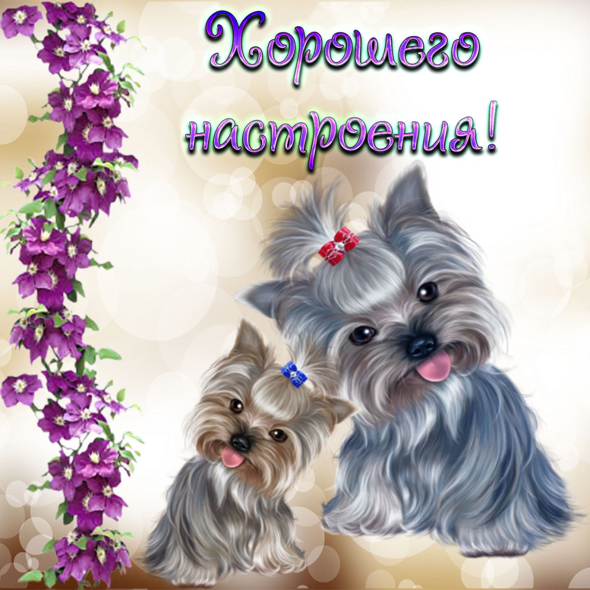 Открытки привет