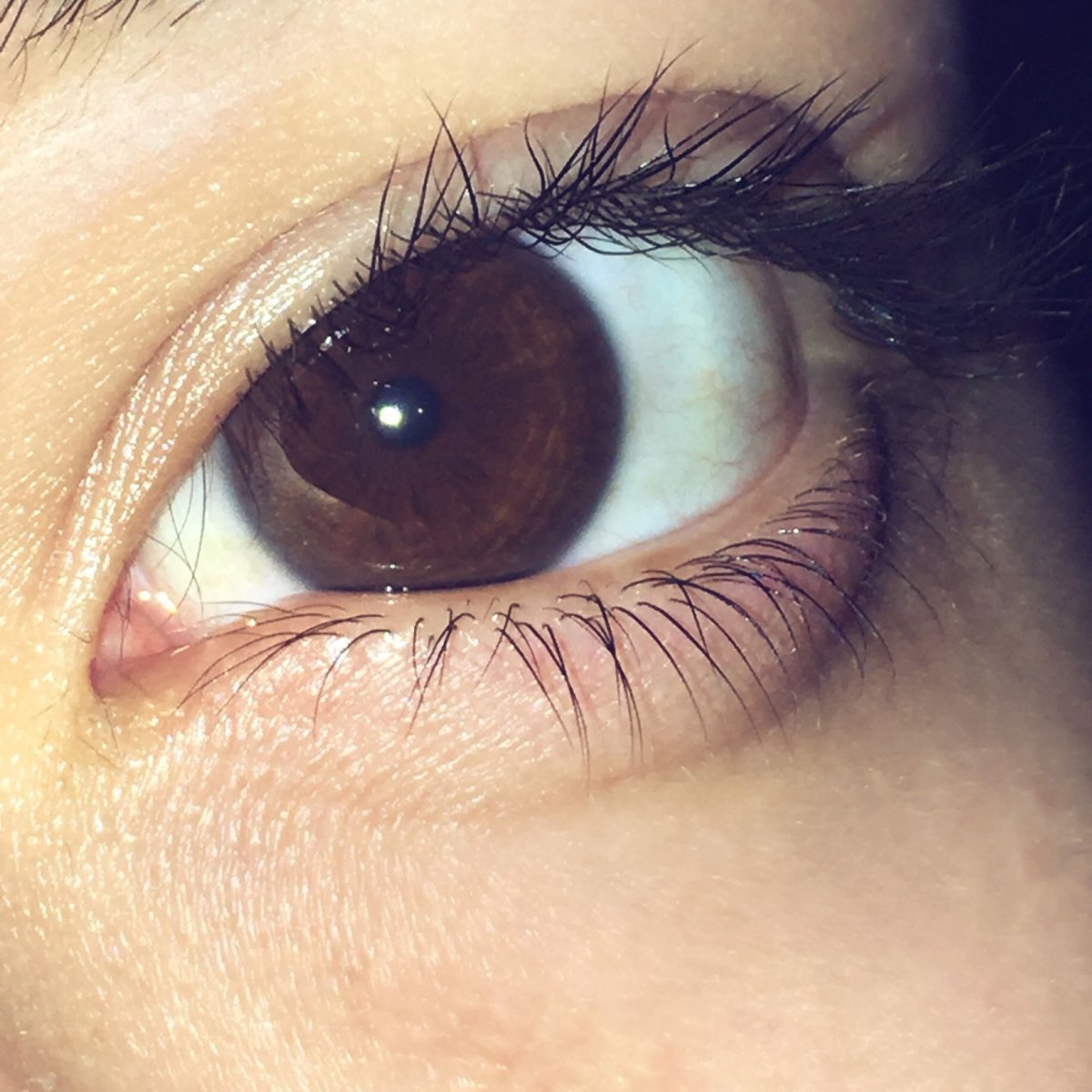 Темно карие глаза