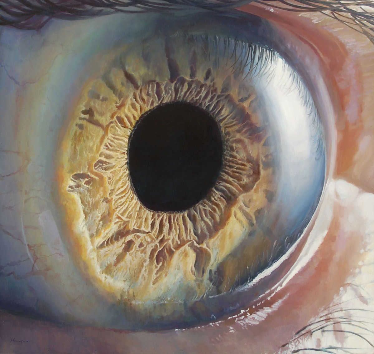 Глаз объектив