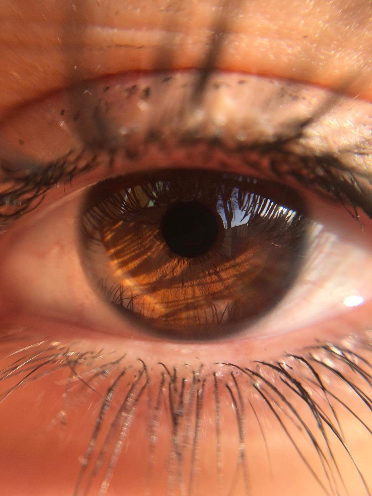 Янтарно коричневые глаза