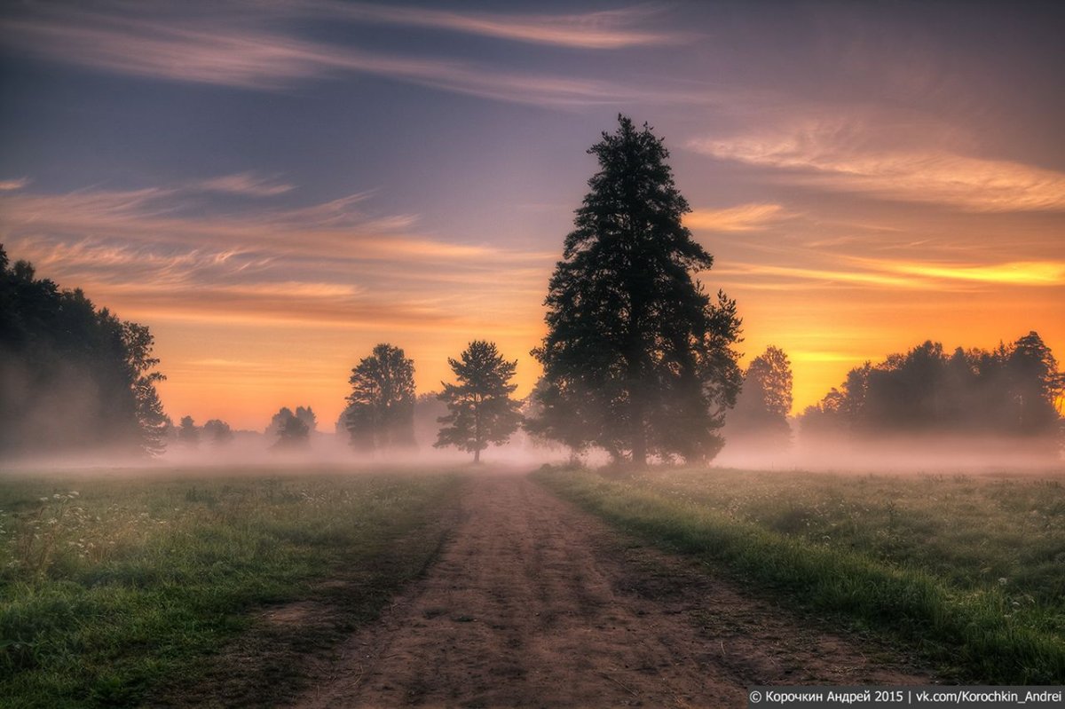 Туманное утро Фет