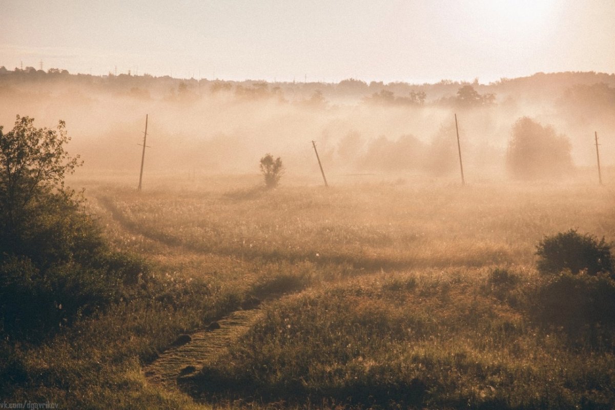 Туман утром
