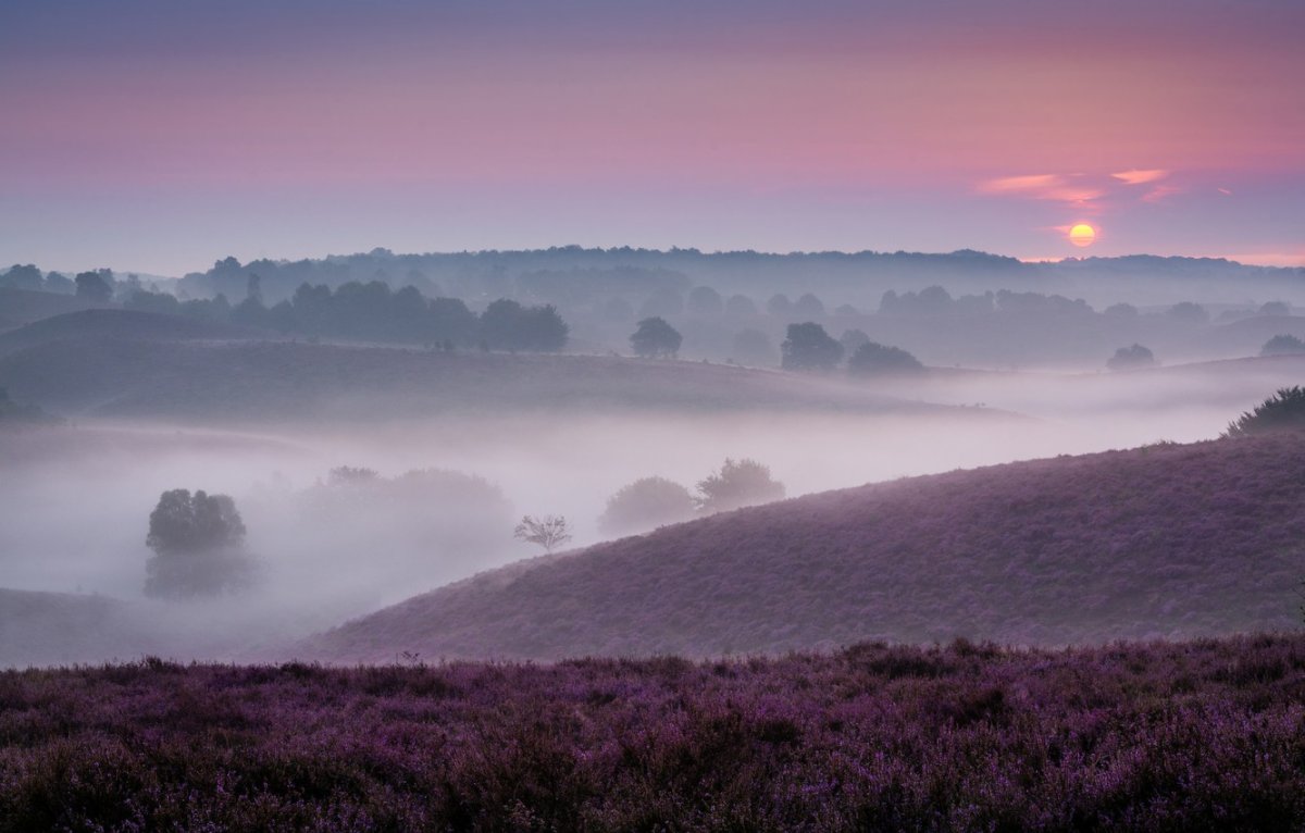 Мостик в тумане
