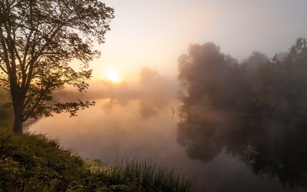 Туман летом