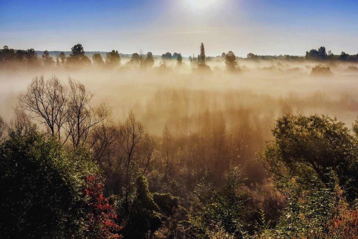 Фотограф Руслан Авдевич