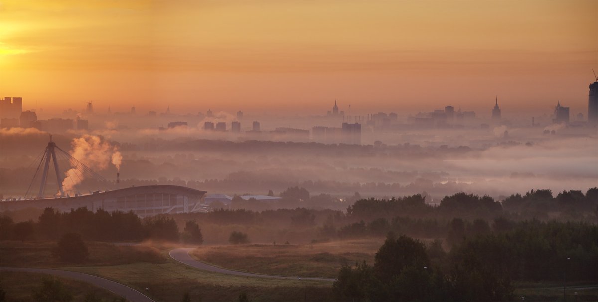 Утренний туман в лесу