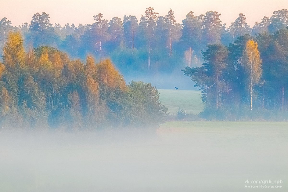 Природные явления туман
