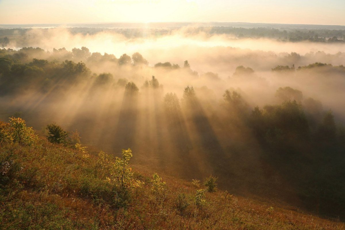 Утренний туман на реке