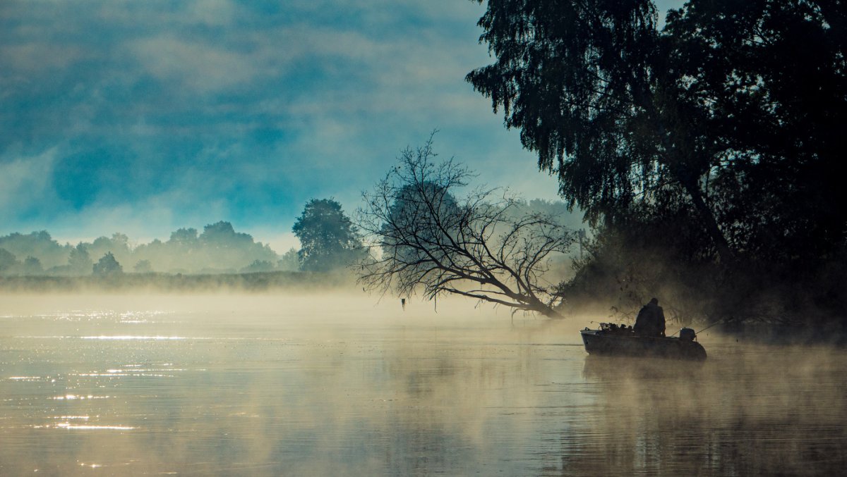 Утренний туман