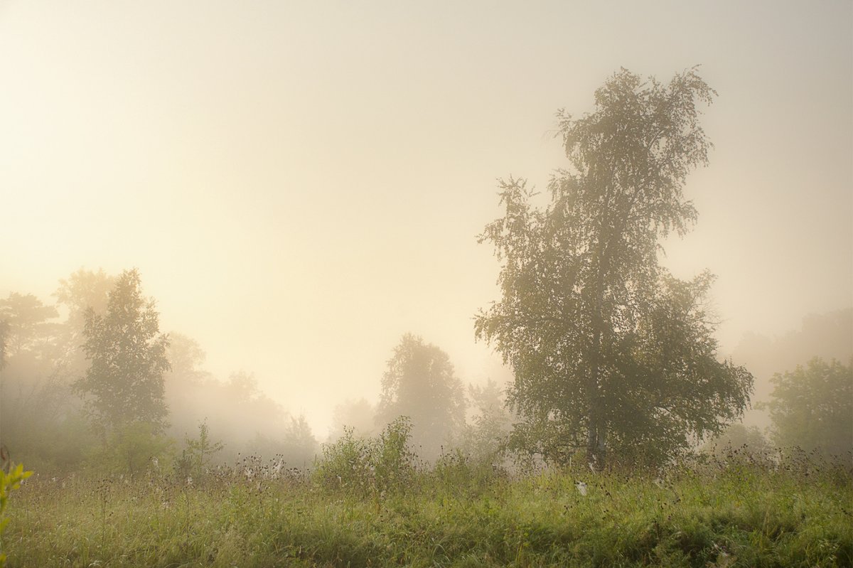 Фото Крым утро дом туман