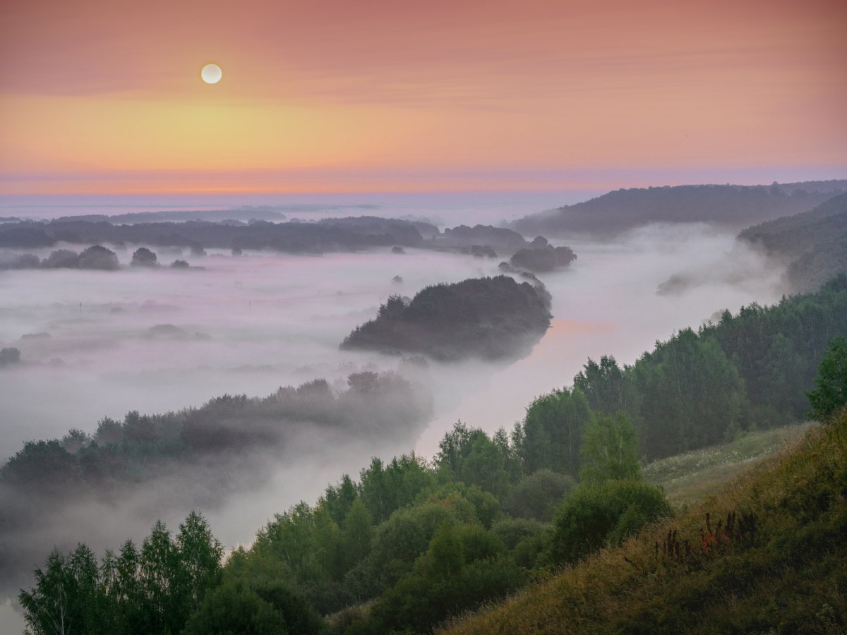 Дорога в тумане