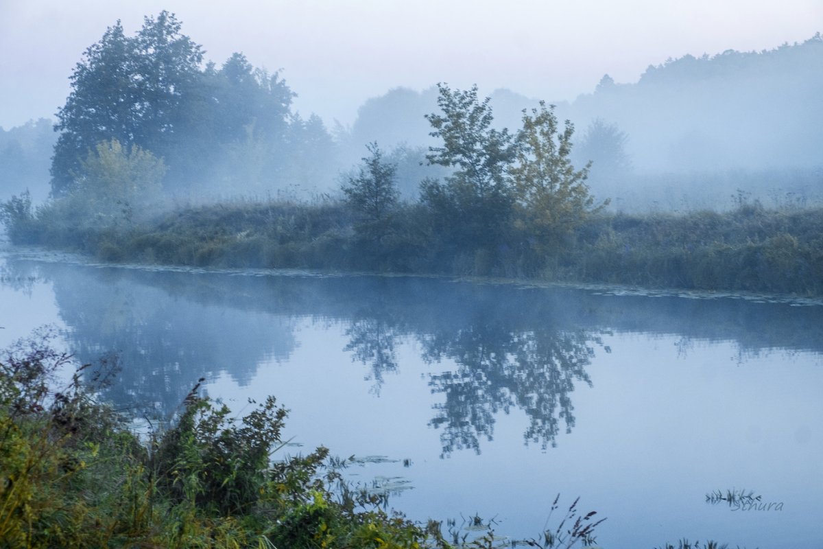 Дмитрий Медянцев фотограф