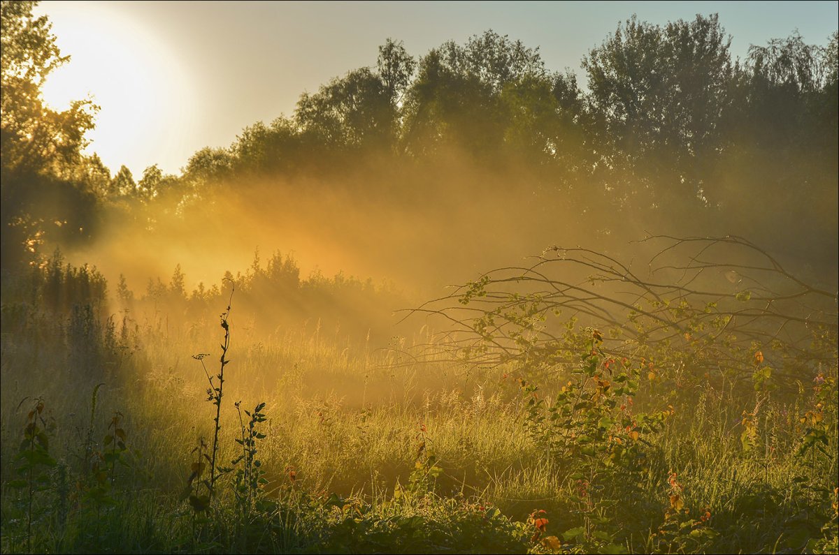 Тяжелый туман