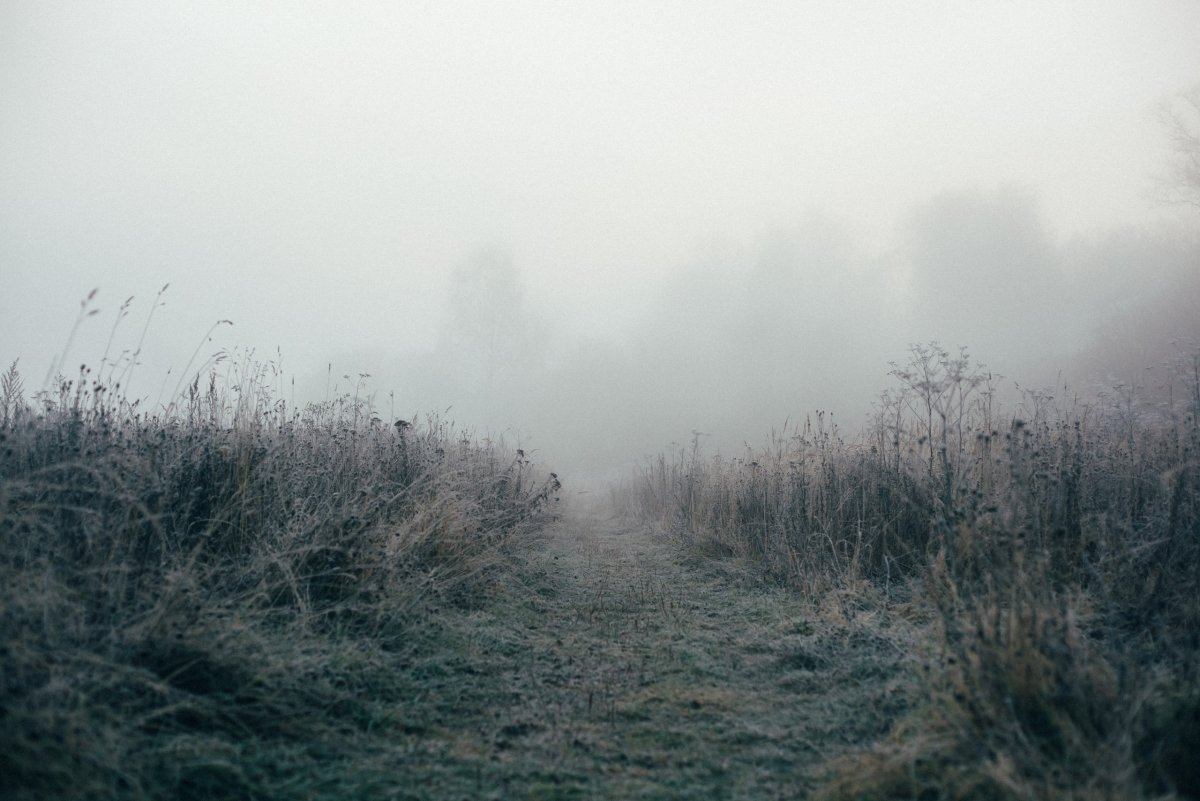 Маркеловское озеро