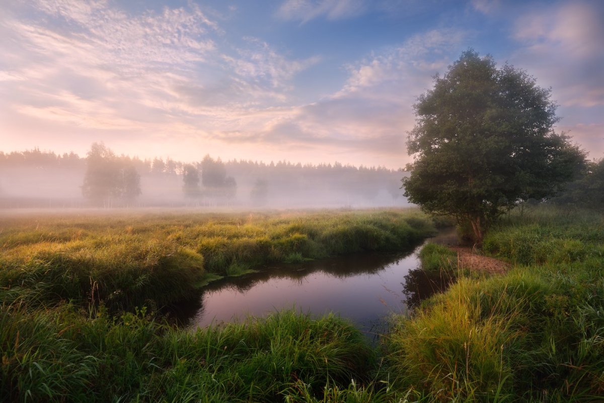 Вересковая Пустошь Эстетика