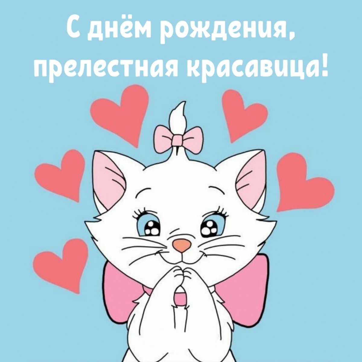 Любимому котику