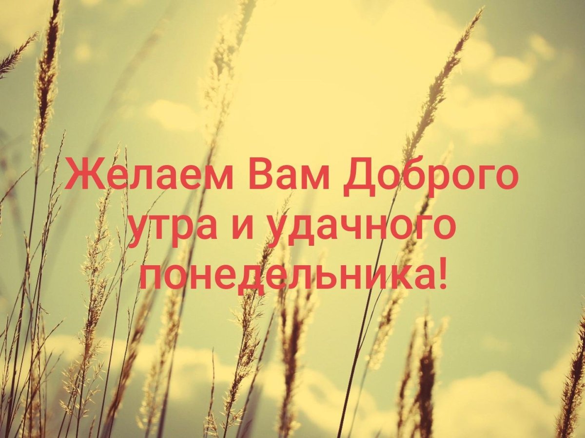 Цитаты про утро