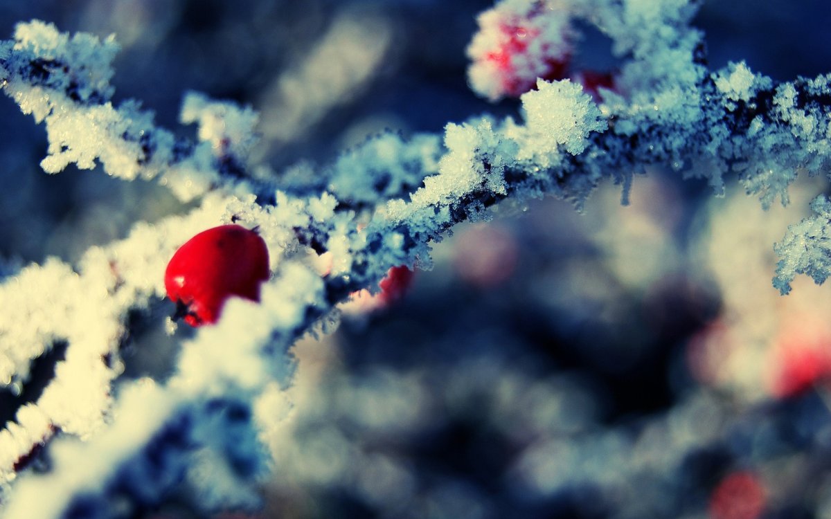 Цветной снег