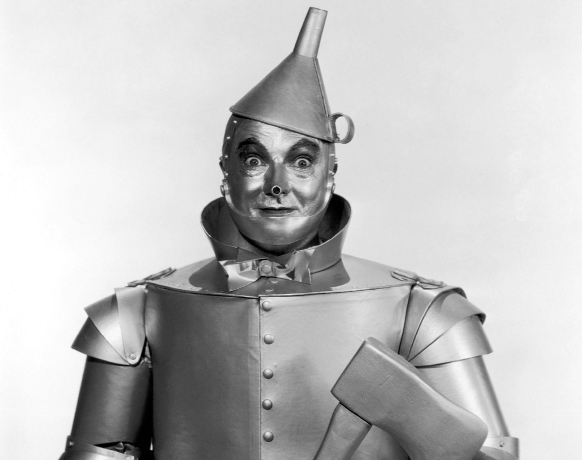 Железный дровосек лицо