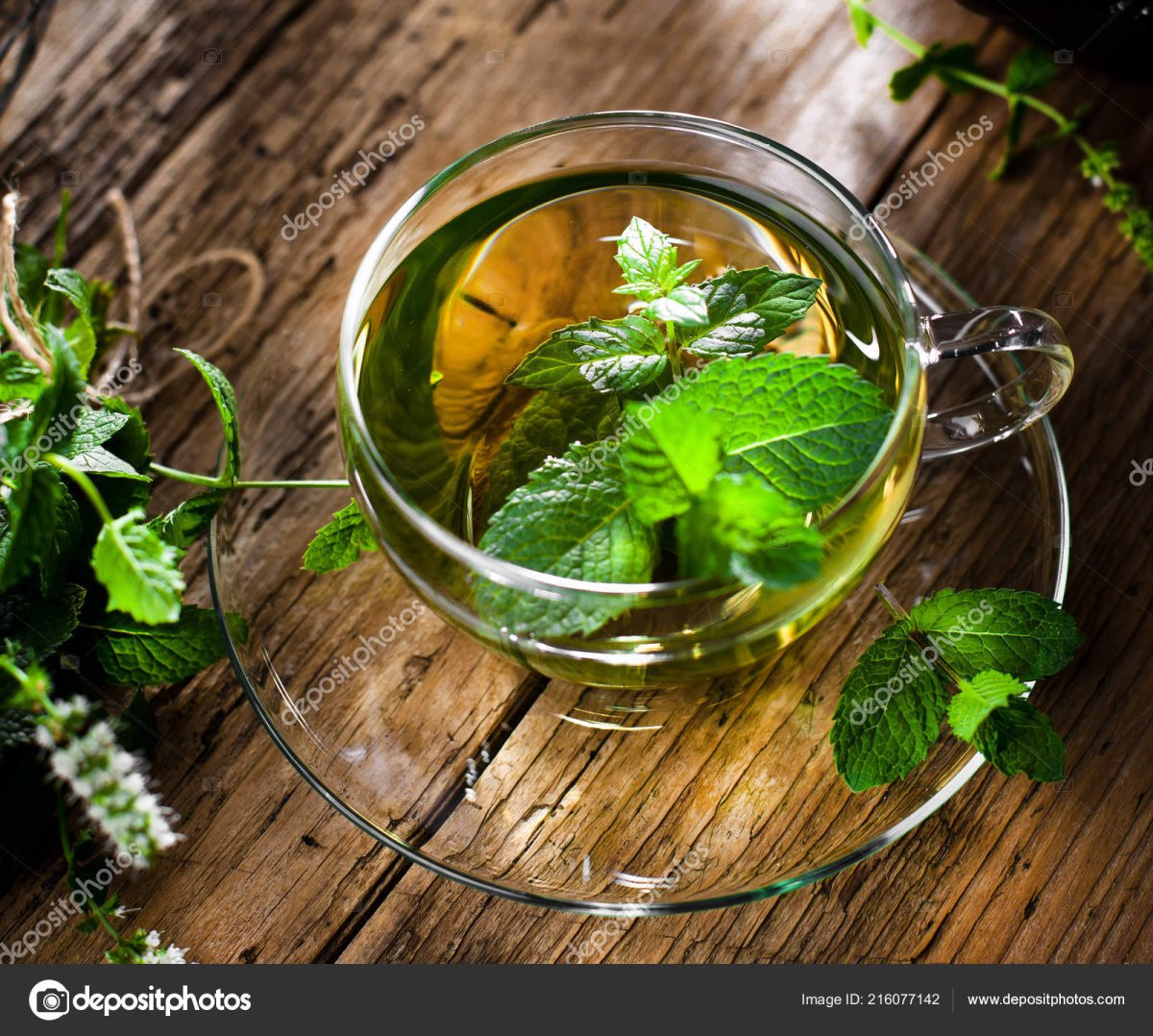Мята перечная чай