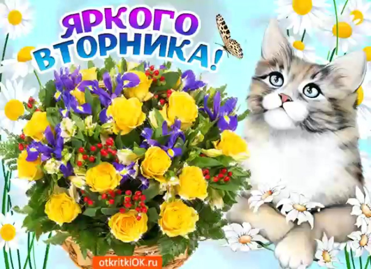 Поздравления со вторником прикольные