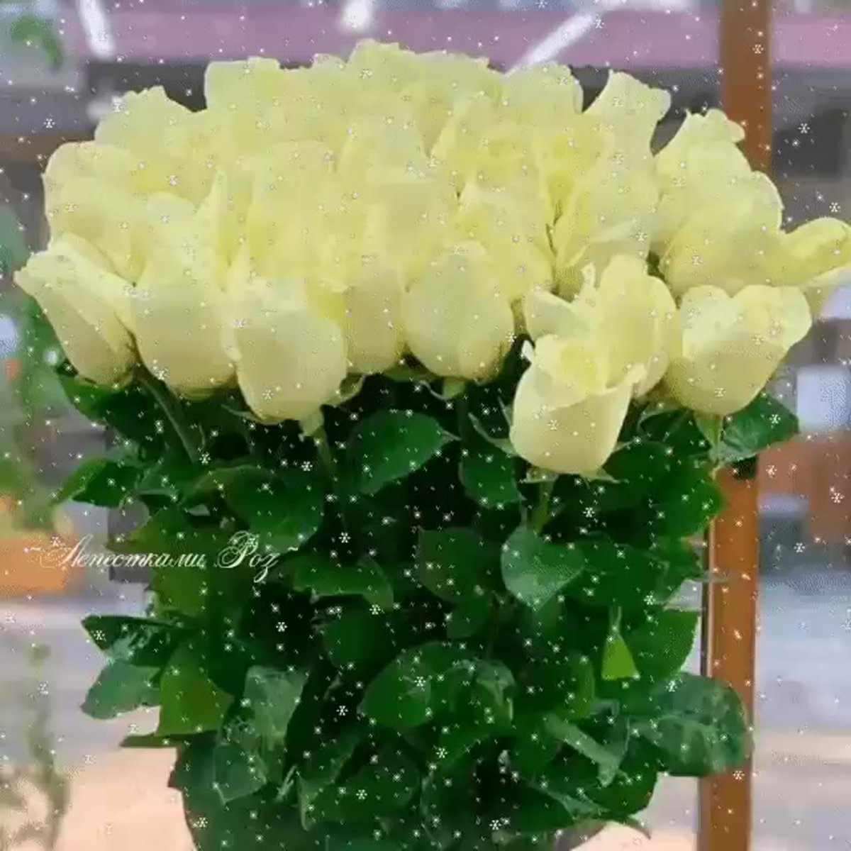 Приветствие с добрым утром вторника