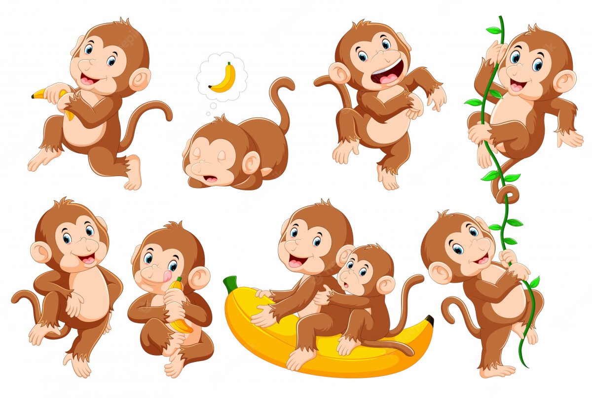 Обезьяна вектор