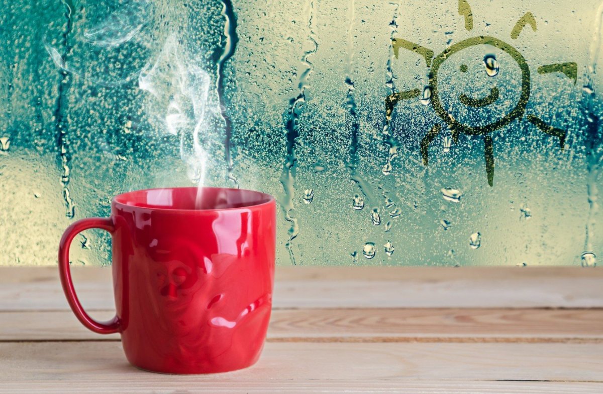 Радоваться нужно просто что живёшь даже если ветер даже если дождь