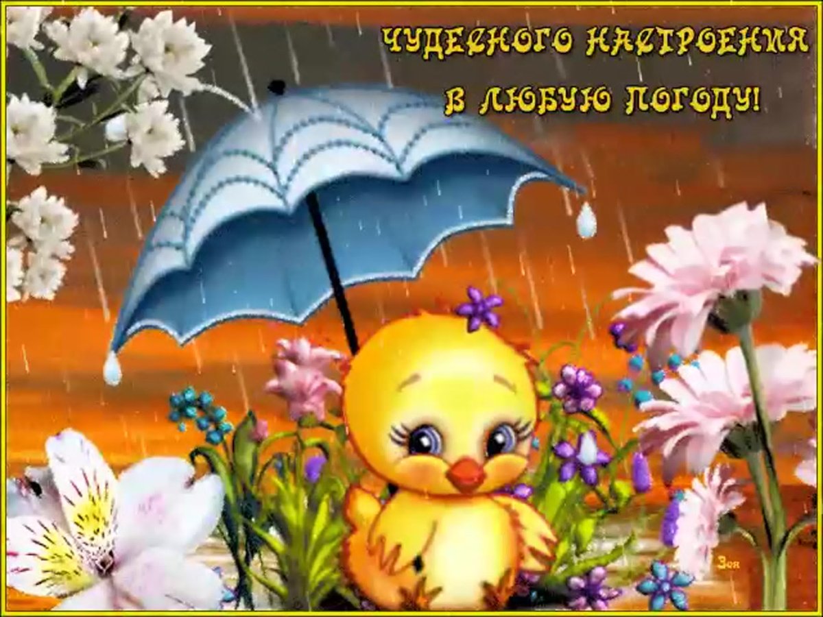 Дождь зонтик