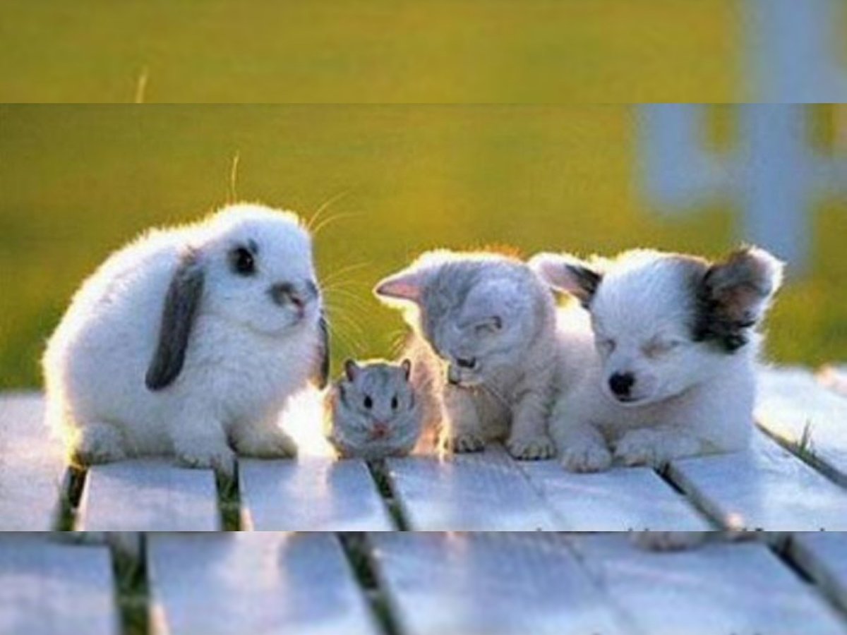 Позитив Дружба