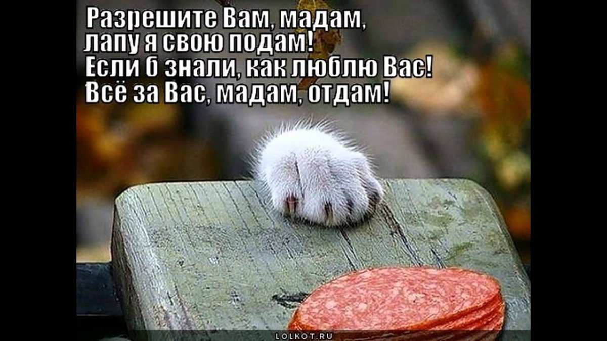 Картины Элины Эллис