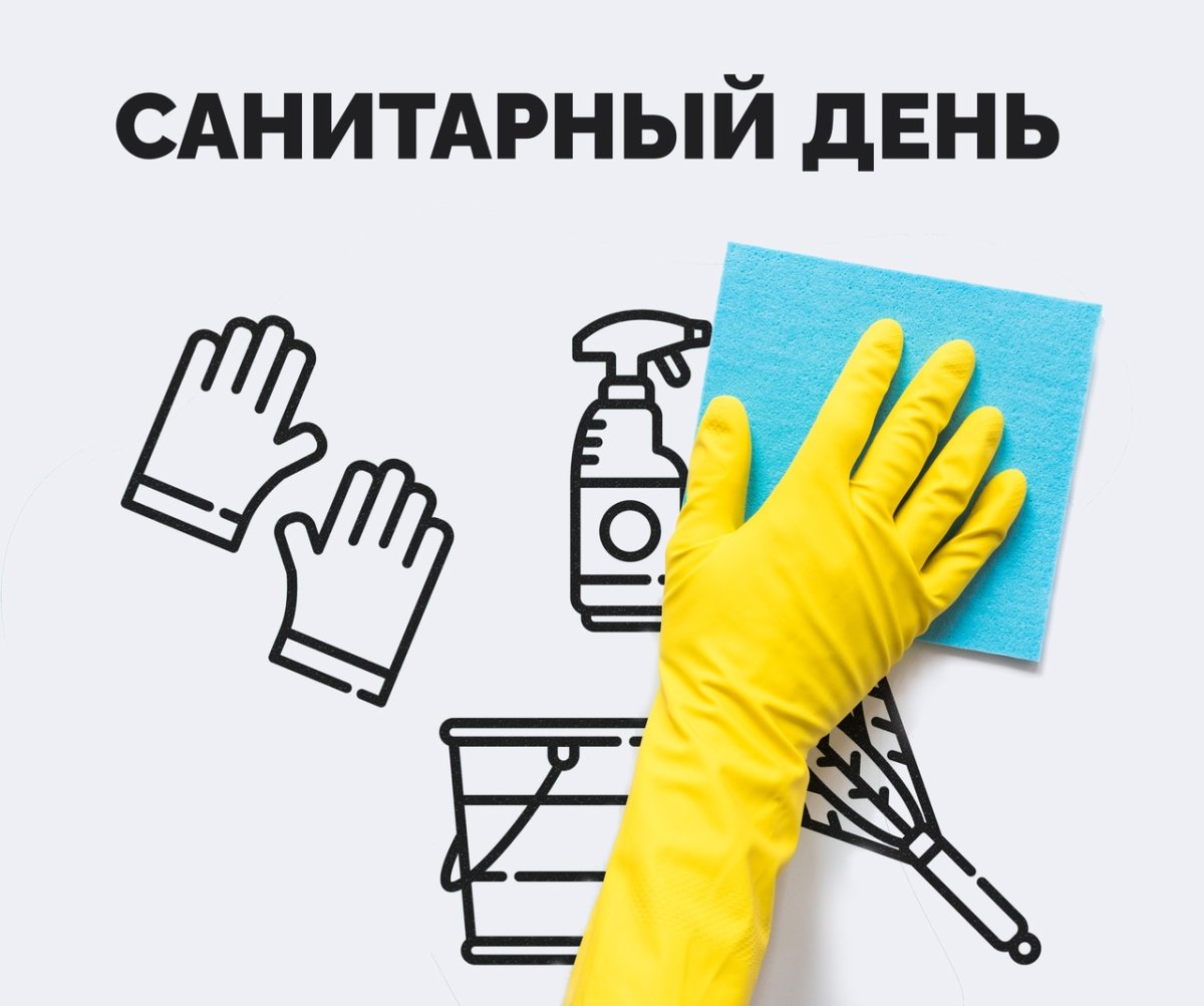 Санитарный день