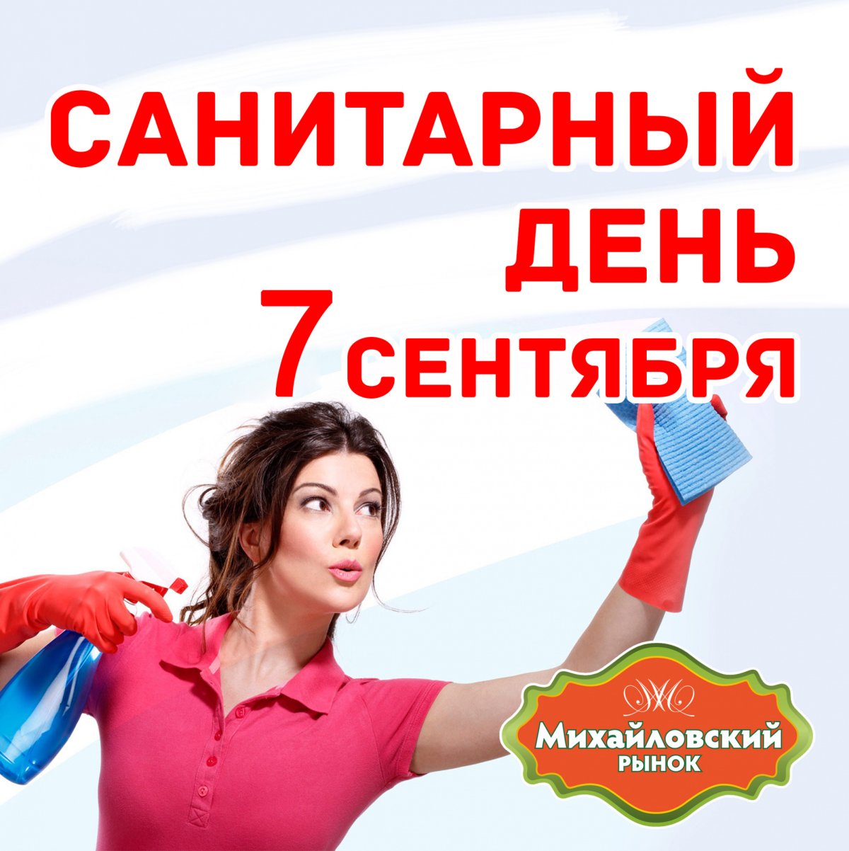 Санитарный день