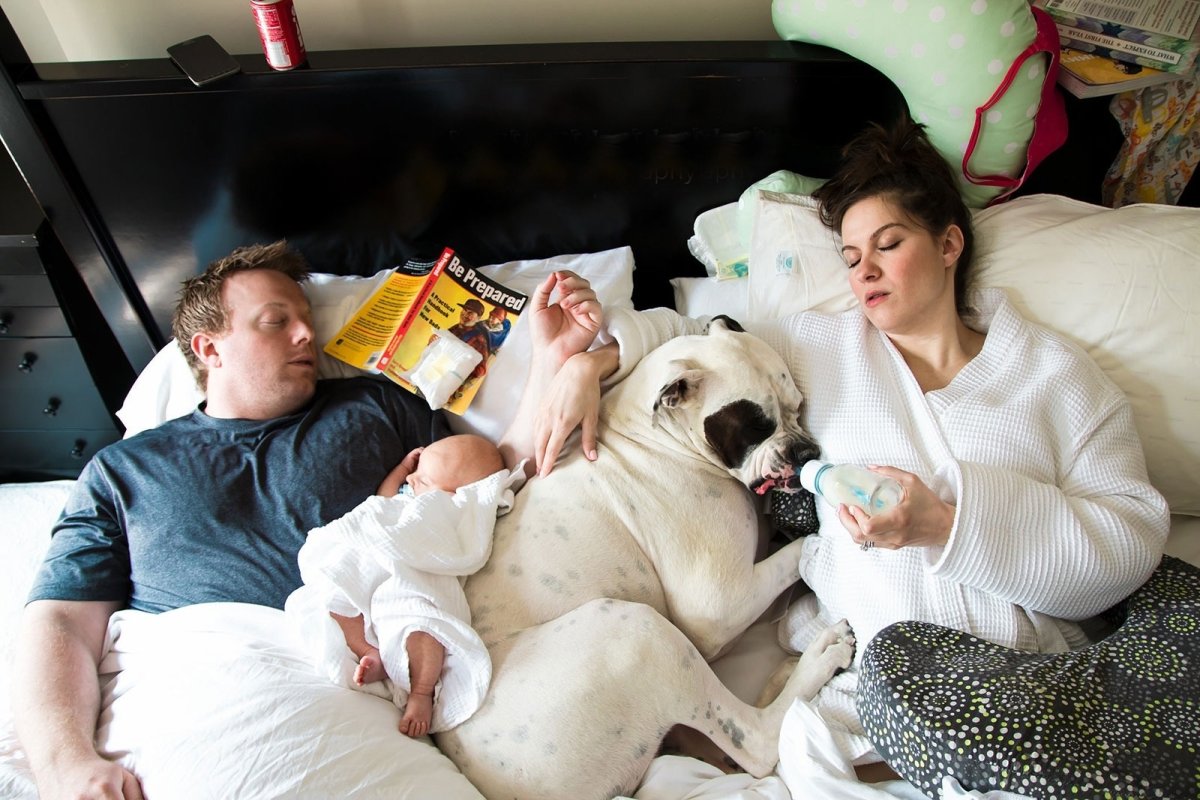 Забавные ситуации из жизни