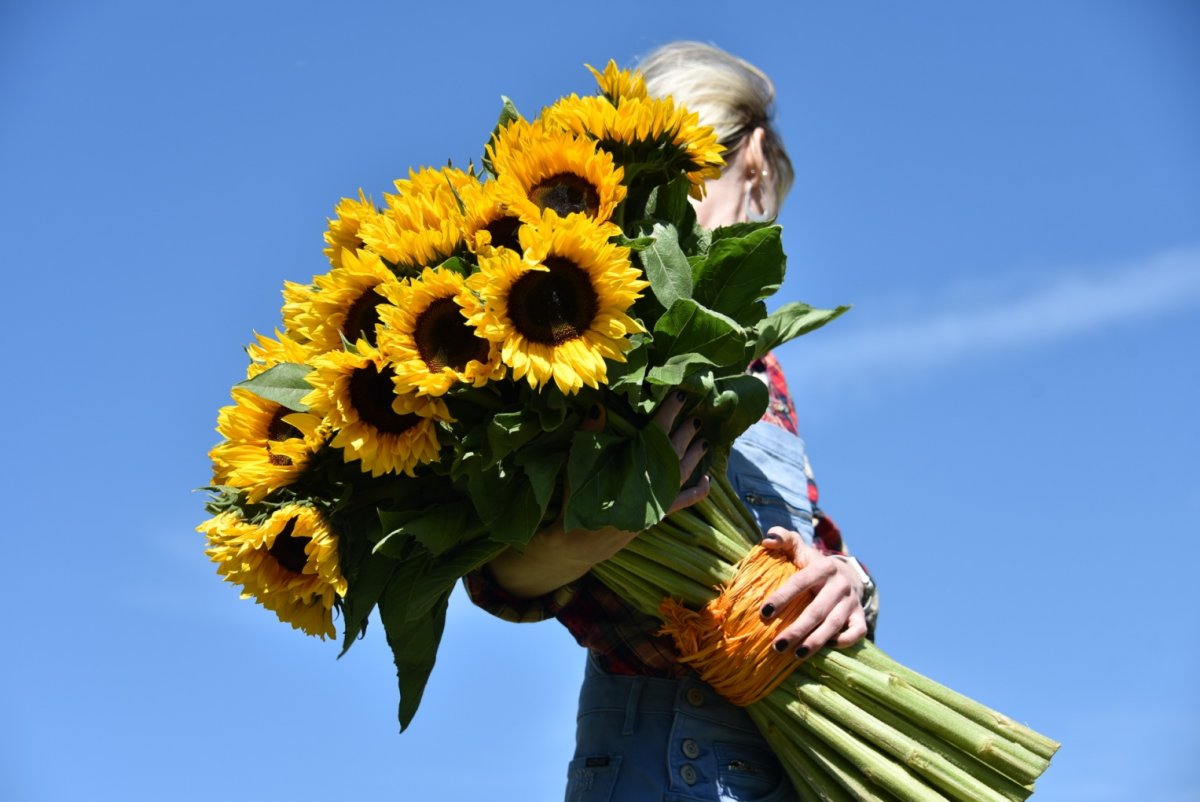 Букет подсолнухов