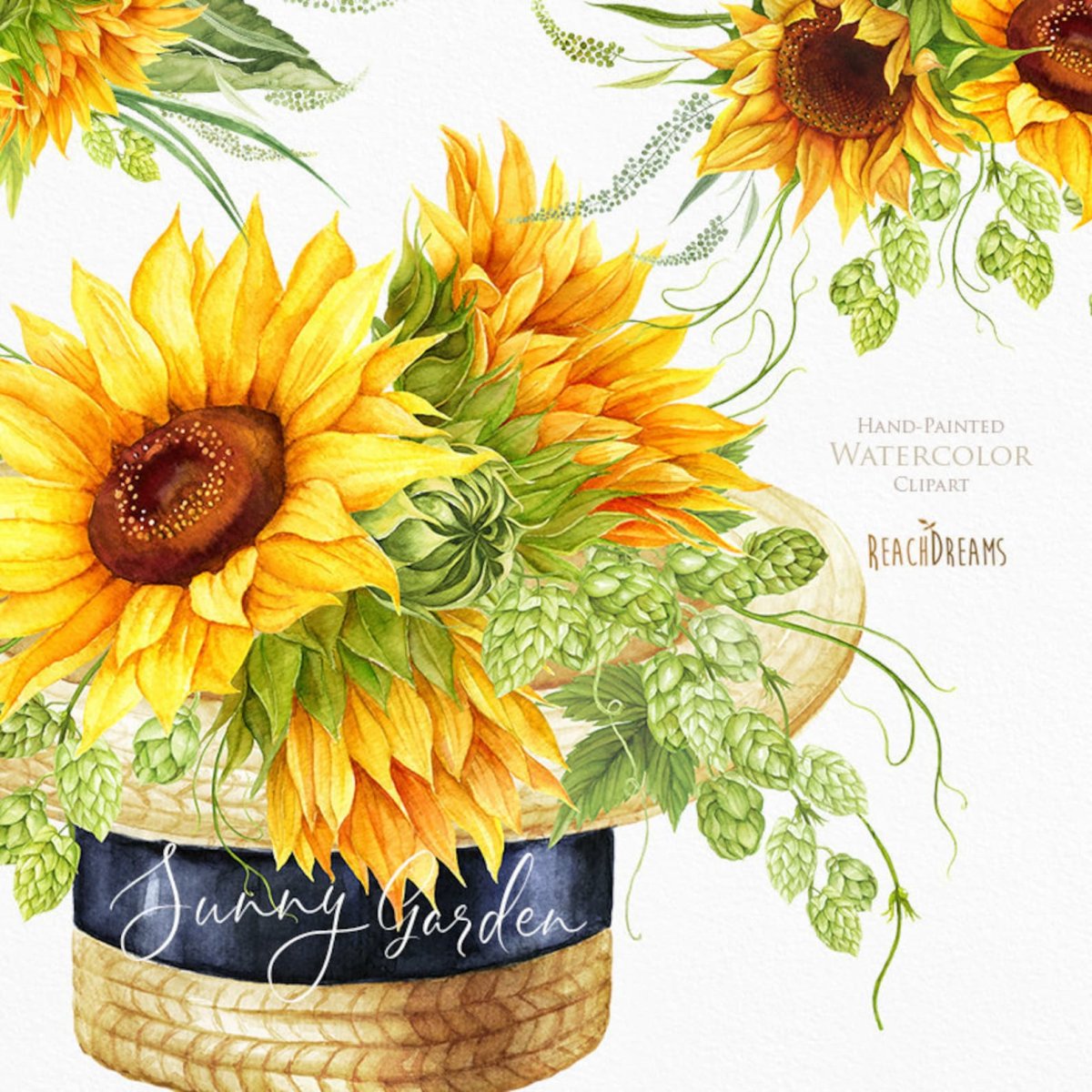 Необычные Подсолнухи