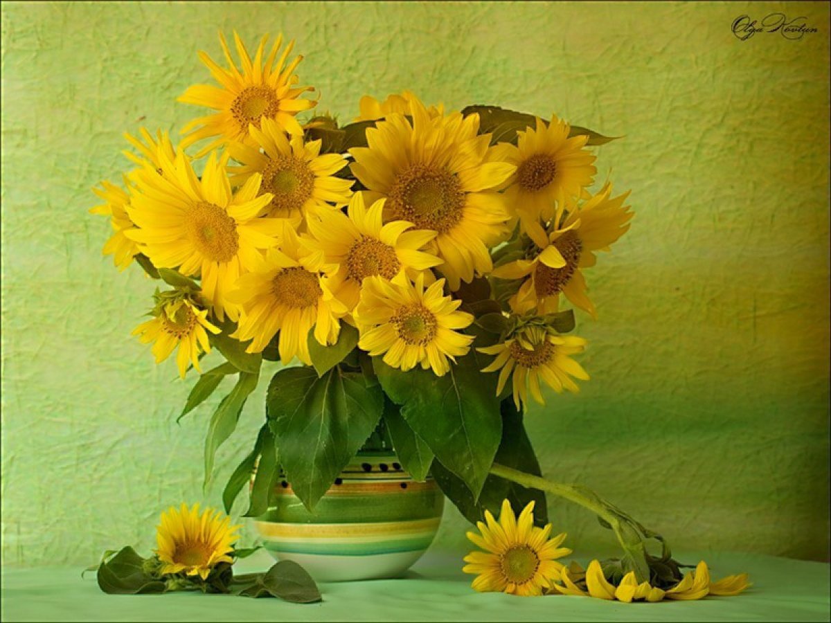 Подсолнухи для скрапбукинга