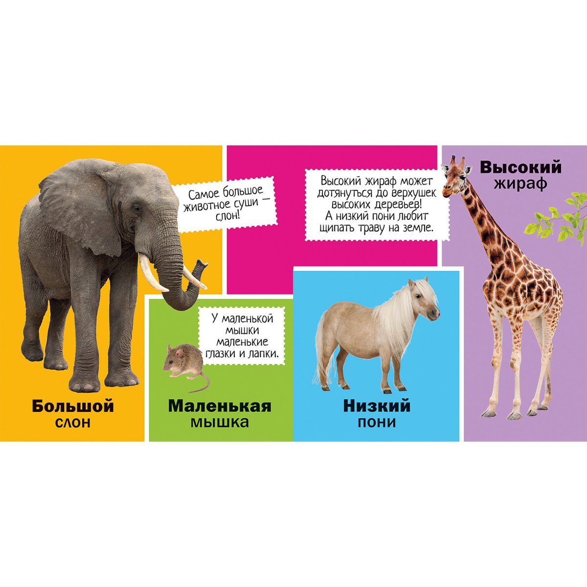 Сравнение высокий низкий