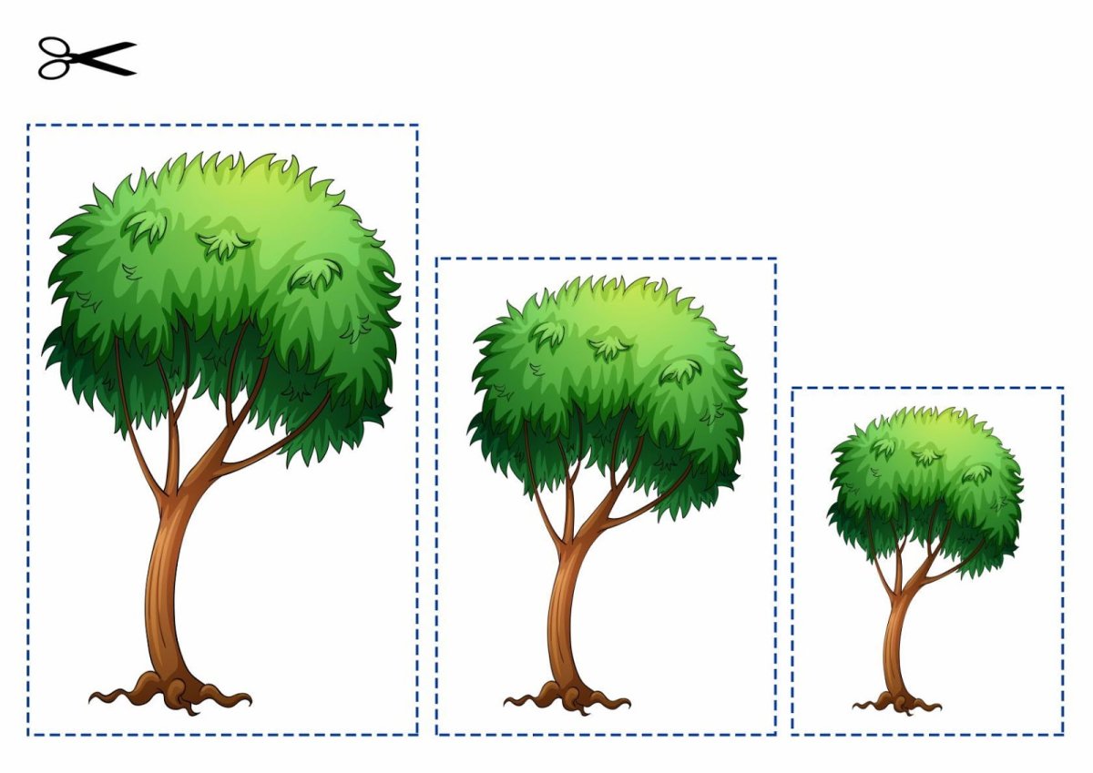 Деревья разного размера