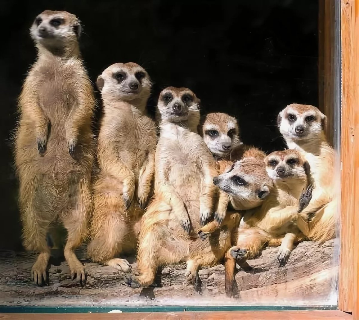 Креативный коллектив