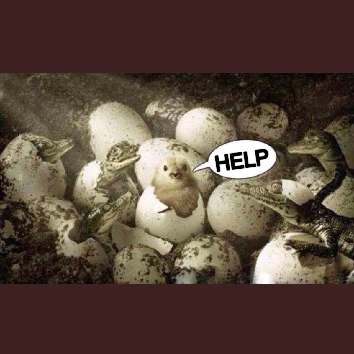 Прикольный значок для группы