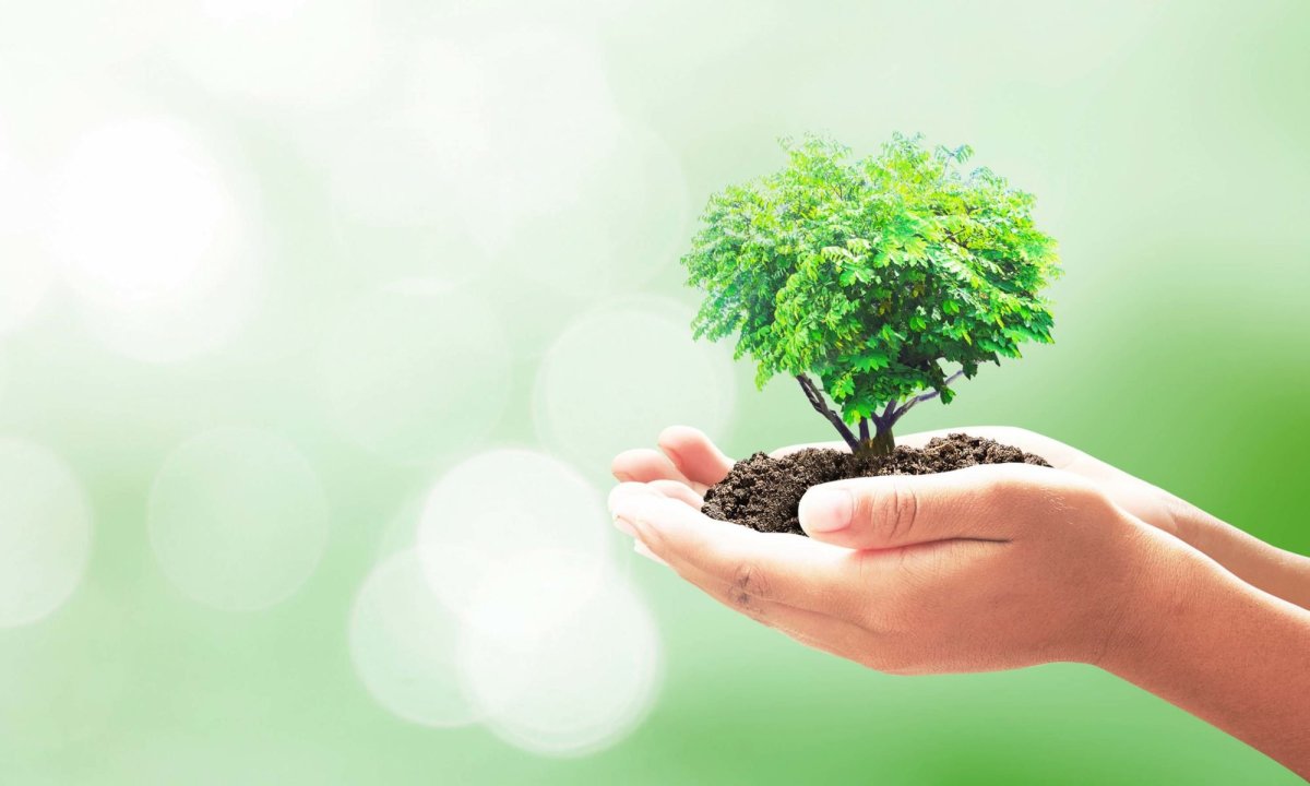 Плакат берегите природу