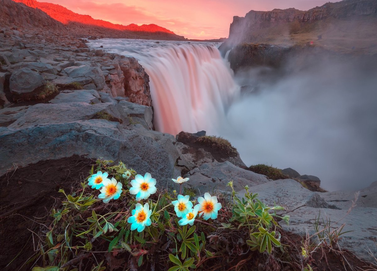 Природа водопад цветы