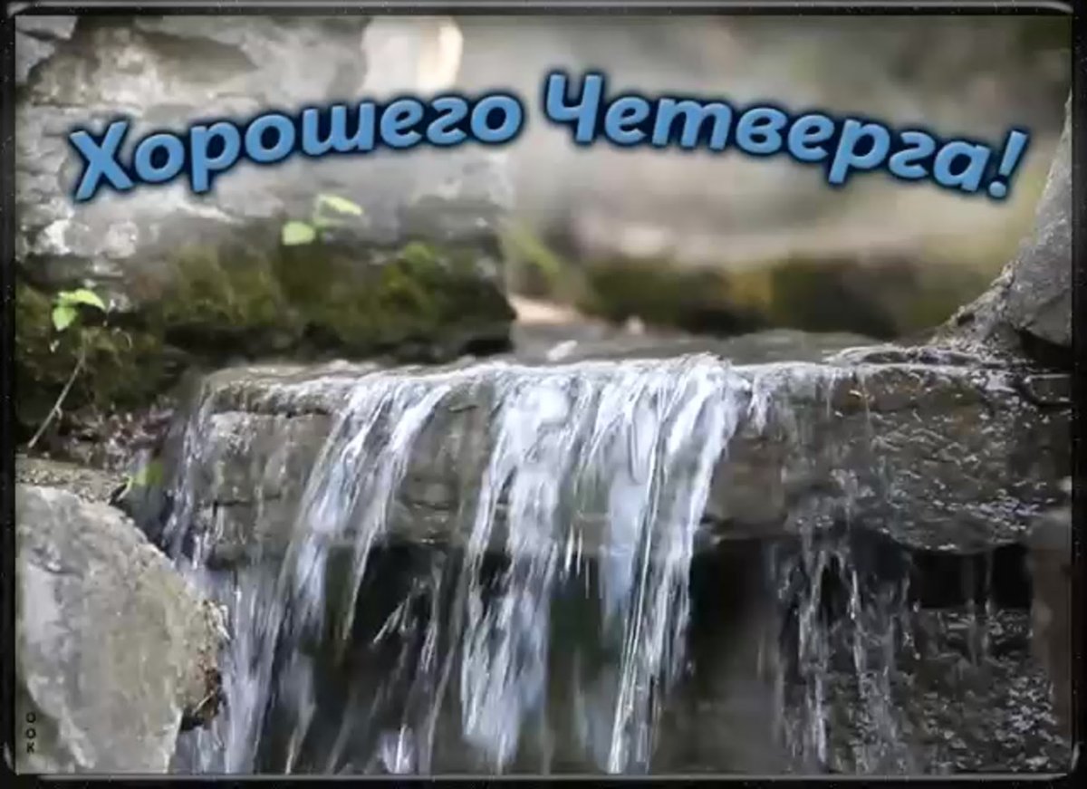 Хорошего четверга гифки