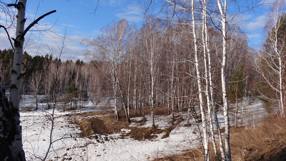 Ранняя Весна в Сибири