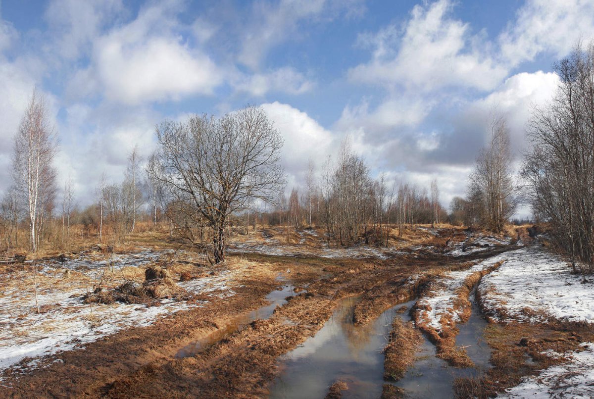 Весенняя слякоть