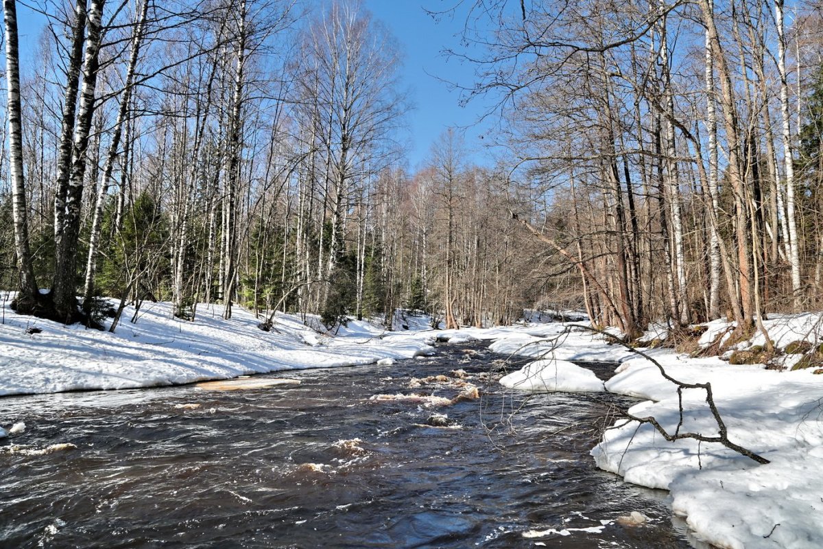 Таяние снега