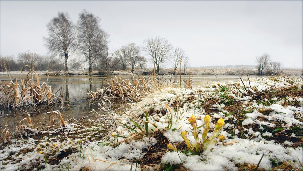 Природа Весна апрель