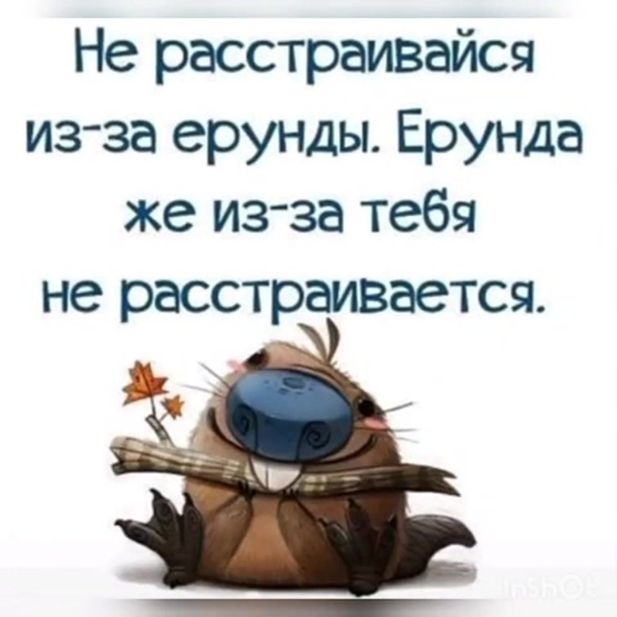 Смешные пожелания доброго утра