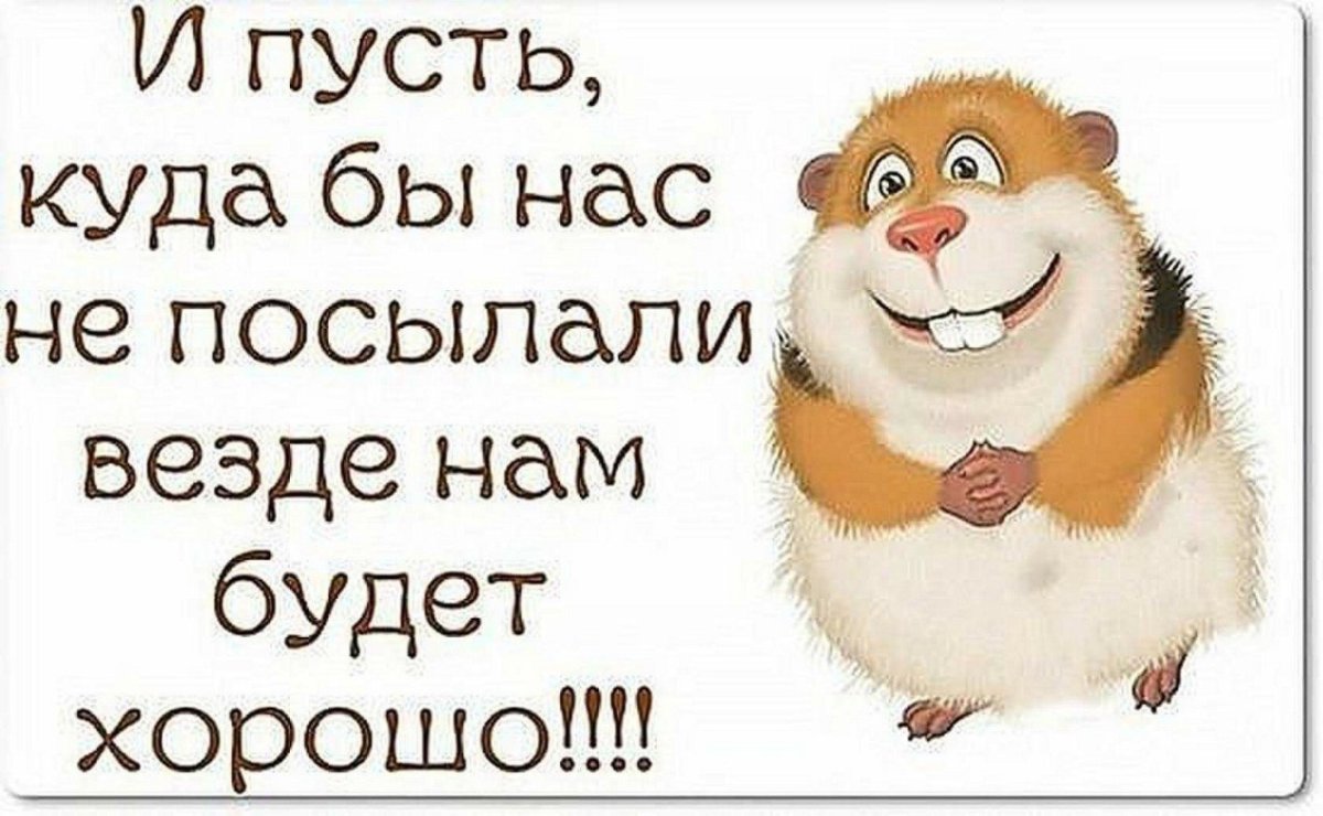 Анекдоты с добрым утром